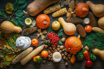 Thanksgiving concept. Pumpkins harvest top view