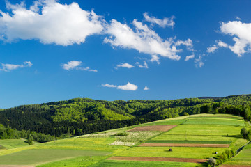 Fototapeta na wymiar Mountain landscape in summer. Beskid Sadecki near village Przysietnica, Poland.