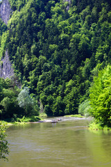 Fototapeta na wymiar Dunajec River Gorge near Rygle Sokolicy Mount. Pieniny Mountains, Poland.