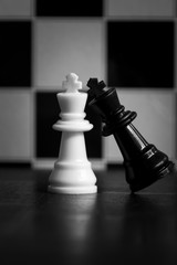 chess white & black kings