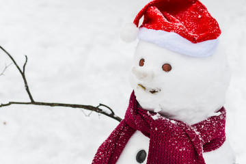 snowman in hat and scarf closeup in outdoors