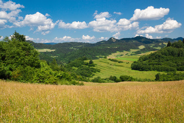 Rabsztyn and Wysoki Wierch Mount in Pieniny Mountains. View from near Aksamitka Mount, Slovakia.