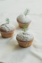 Christmas cupcakes with decor of fir branches. Background with a beautiful dessert.