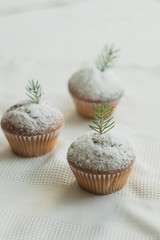 Christmas cupcakes with decor of fir branches. Background with a beautiful dessert.