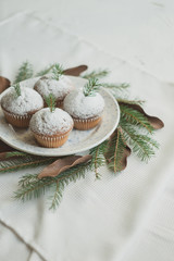 Christmas wreath imitation with a plate of cupcakes. Dessert decorated with fir branches and cones on a white background.