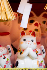 A group of ceramic Japanese lucky cats in the display cabinet (subtitle: Lucky Cat, Jin Yun Laifu)