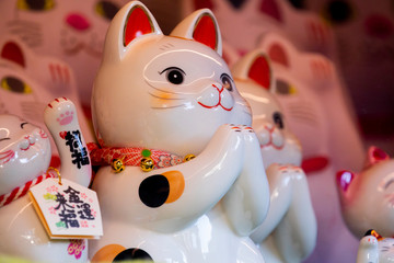 A group of ceramic Japanese lucky cats in the display cabinet (subtitle: Lucky Cat, Jin Yun Laifu)