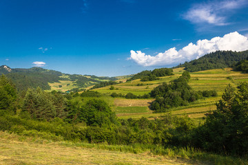 Fields on hillside in summer. Pieniny Mountains, Rabsztyn and Wysoki Wierch Mount on left. View from near village Lesnica, Slovakia.