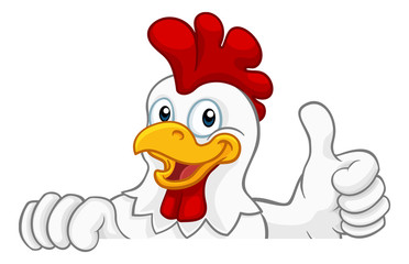 A chicken rooster cockerel bird cartoon character peeking over a sign and giving a thumbs up © Christos Georghiou