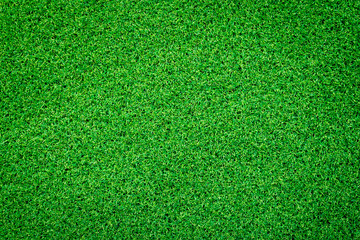 Fototapeta premium green grass background