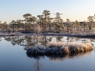 beautiful landscape with swamps and lakes early in the morning, land covered with frost, beautiful reflections of the swamp lake