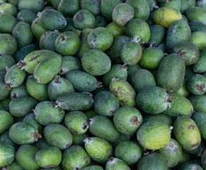 Feijoa as background and texture