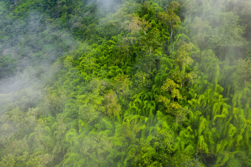 Aerial view of tropical rainforest. North Laos. Southeast Asia. Photo made by drone from above. Bird eye view.