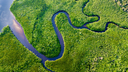 Daintree River Bends, The Daintree Rainforest, Australia