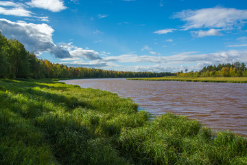 River in the thick green grass