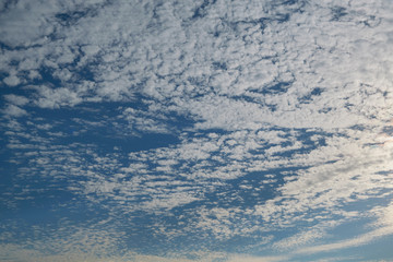 Many, many little broken clouds in the blue sky. Loose little Cumulus clouds filled the sky in streaks. Background or backdrop. Clouds float over the horizon.