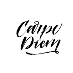 Carpe diem - latin phrase means Capture the moment. Inspirational quote. Ink illustration. Modern brush calligraphy. Isolated on white background. Hand drawn brush style modern calligraphy. 