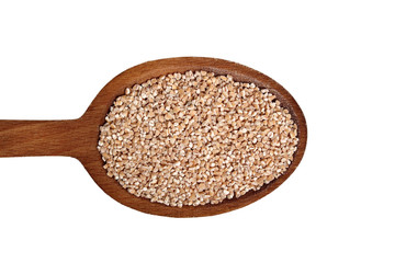 Spelt groats on wooden spoon. Isolated on white background. Directly Above.