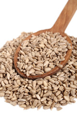 Sunflower seeds on wooden spoon. Isolated on white background.