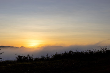Fototapeta na wymiar beautiful colorful sunrise sky with mist for background
