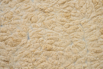 Background of yellow foam on the water