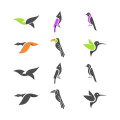 Fototapeta premium Bird Eagle Colorful Designs Concept illustration Vector Template.