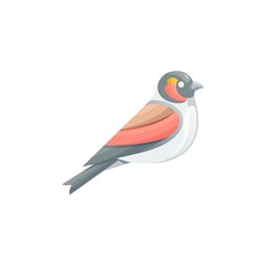 Humming Bird Colorful Designs Concept illustration Vector Template