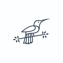 Humming Bird Colorful Designs Concept illustration Vector Template