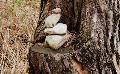 Steinhaufen im Baum