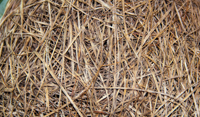 background of dry straw