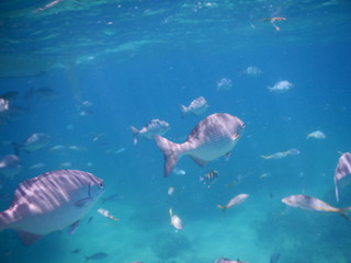 Obraz premium Urlaub