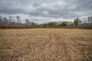 Spring landscape, a small field with dried grass