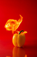 chili pepper red on fire, burning pepper, hot pepper, on a red and black background.