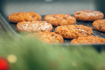 Top view of oat cookies in baking tray on wooden table