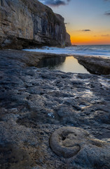 Dancing Ledge, dorset, England