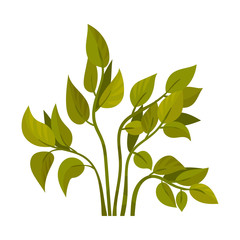 Stems with green leaves. Vector illustration on a white background.