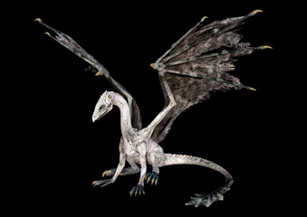 3D Rendering Fairy Tale Dragon on Black