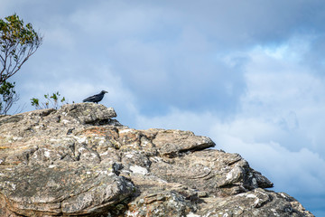 stand alone in rock under cloud