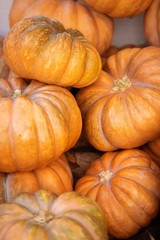 Orange and green pumpkins at outdoor farmer market. Colorful autumn Thanksgiving background.