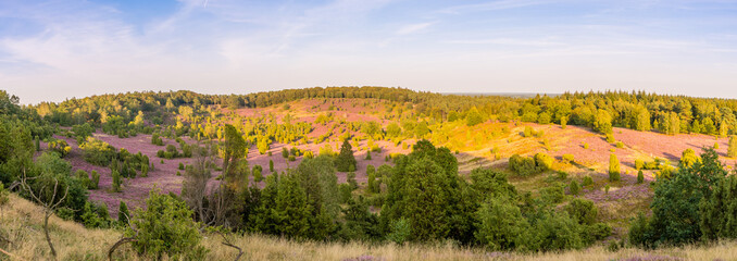 Sunset in the Totengrund in the Lüneburger Heide - The last rays of sunlight come over the hill...