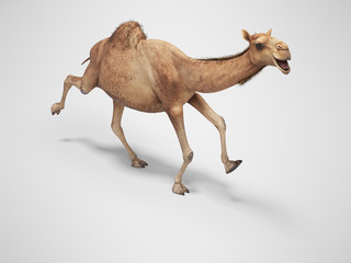 Camel run 3d rendering on gray background with shadow