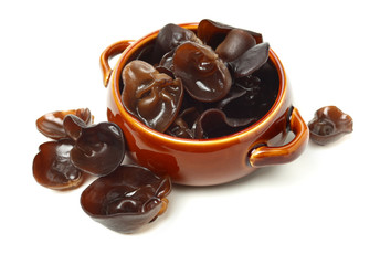 black fungus on white background 
