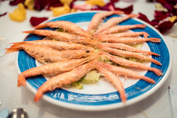 COOKED PRAWNS ON DISH