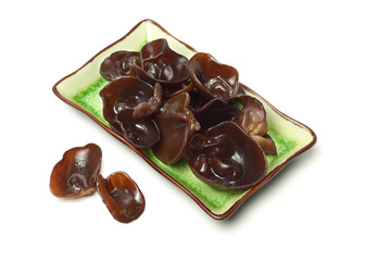black fungus on white background 