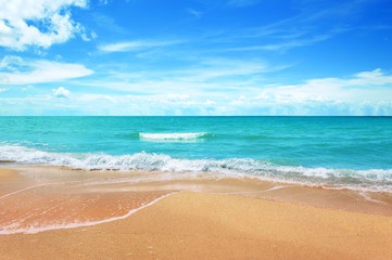 Fototapeta na wymiar tropical sea sandy beach in the morning , summer background