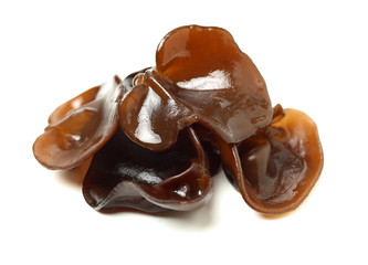 black fungus on white background 