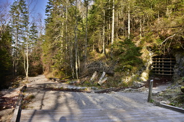 Gorge in the Western Tatras, White Valley, Dolina Bialego  © Albin Marciniak