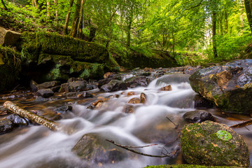 Small rapids in the romantic valley of the Schwarzen Ernz in Müllerthal / Luxembourg. 