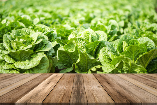Wooden Board Product Display Montage or Background. Organic Food Produce Theme