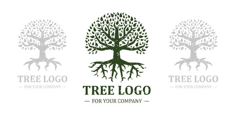 Obraz premium Tree logo isolated on a white background. Classic design. Green and brown colors. Lettering. Space for text. Leaves and roots. Simple modern concept. Circle form. Flat style vector illustration.